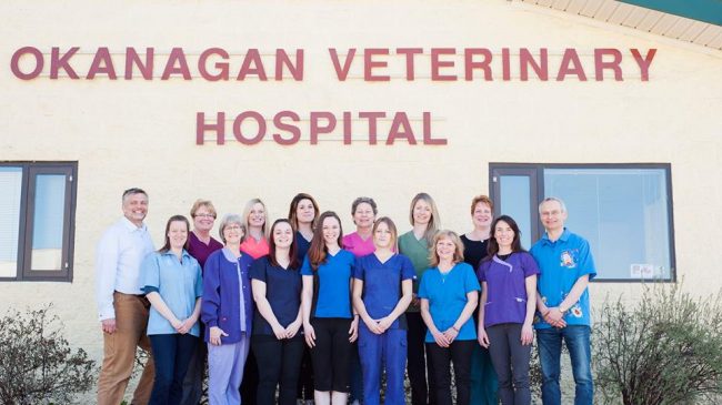 Okanagan Veterinary Hospital