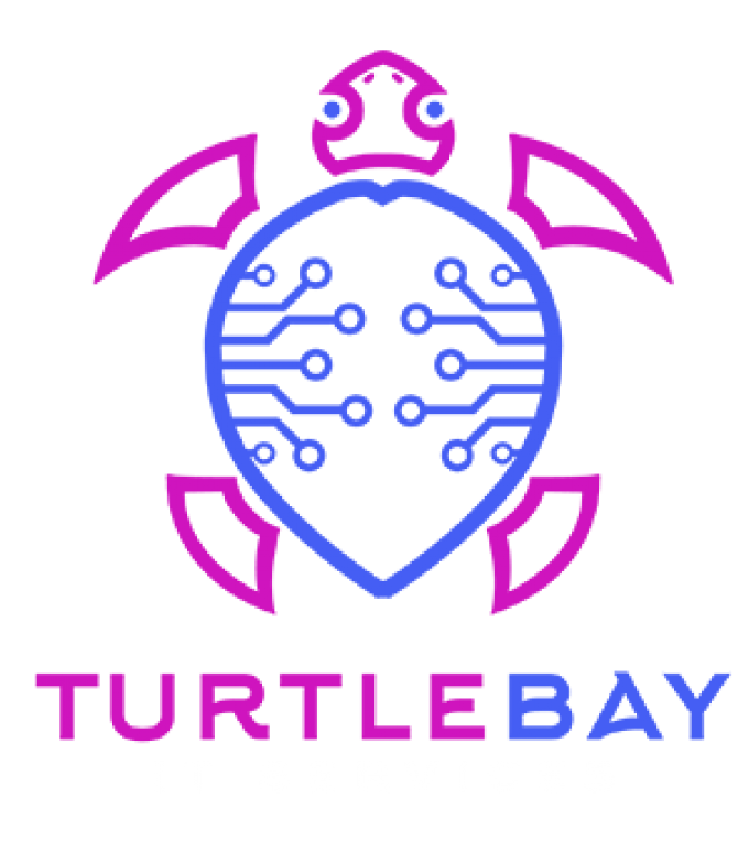 Turtle Bay IT Services